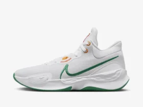 Nike Women's Basketball Shoes